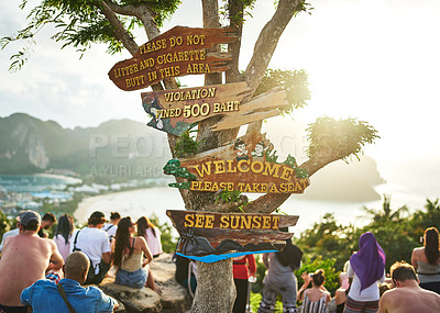 Buy stock photo Cropped shot of signage on a tree at a tourist attraction