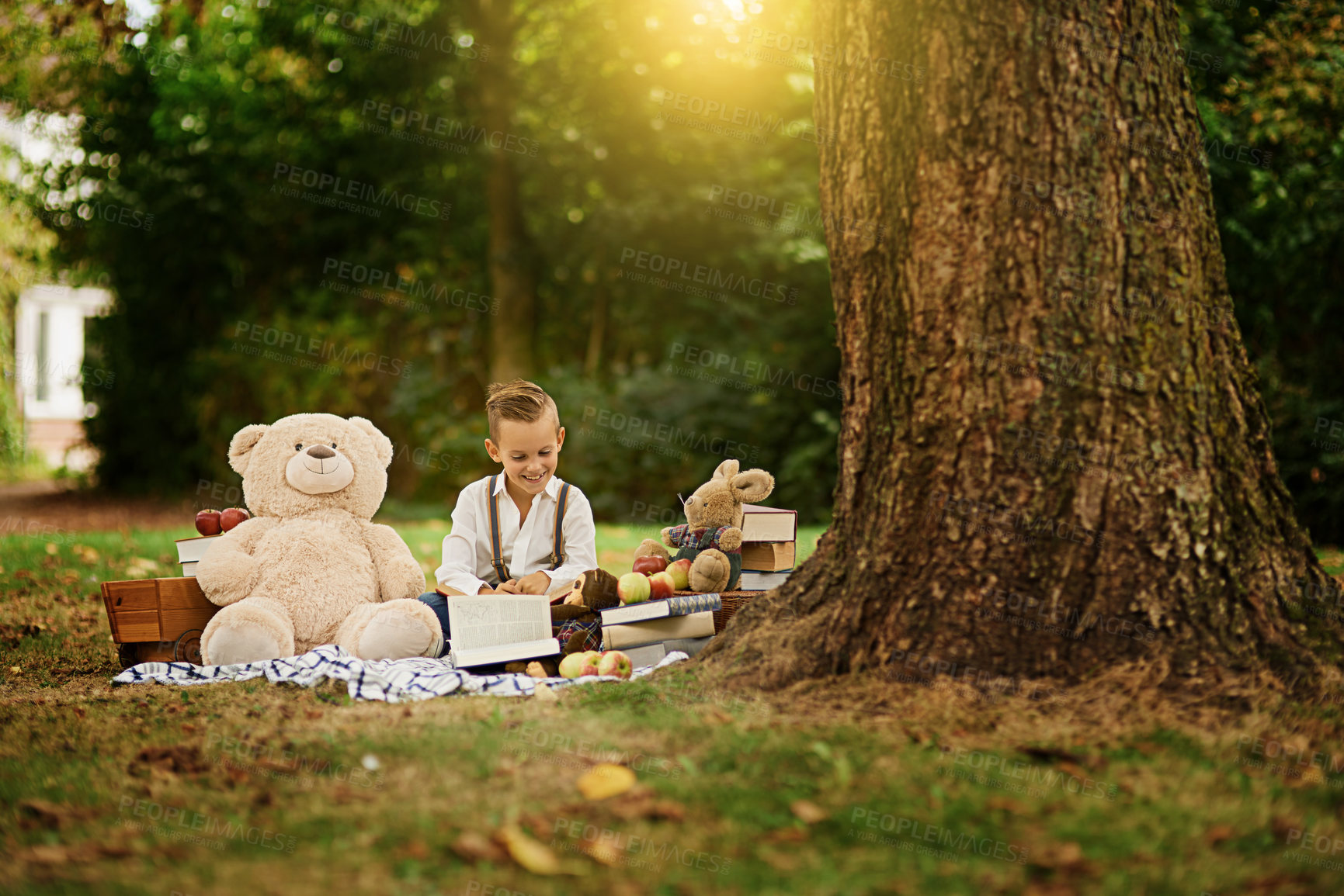 Buy stock photo Learning, picnic and boy reading book in forest with teddy bear, toys or child development in nature. Happy, literacy and kid in park with fantasy, fairytale or peace in woods for education hobby