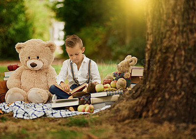 Buy stock photo Shot of a little boy reading to his toys while out in the woods