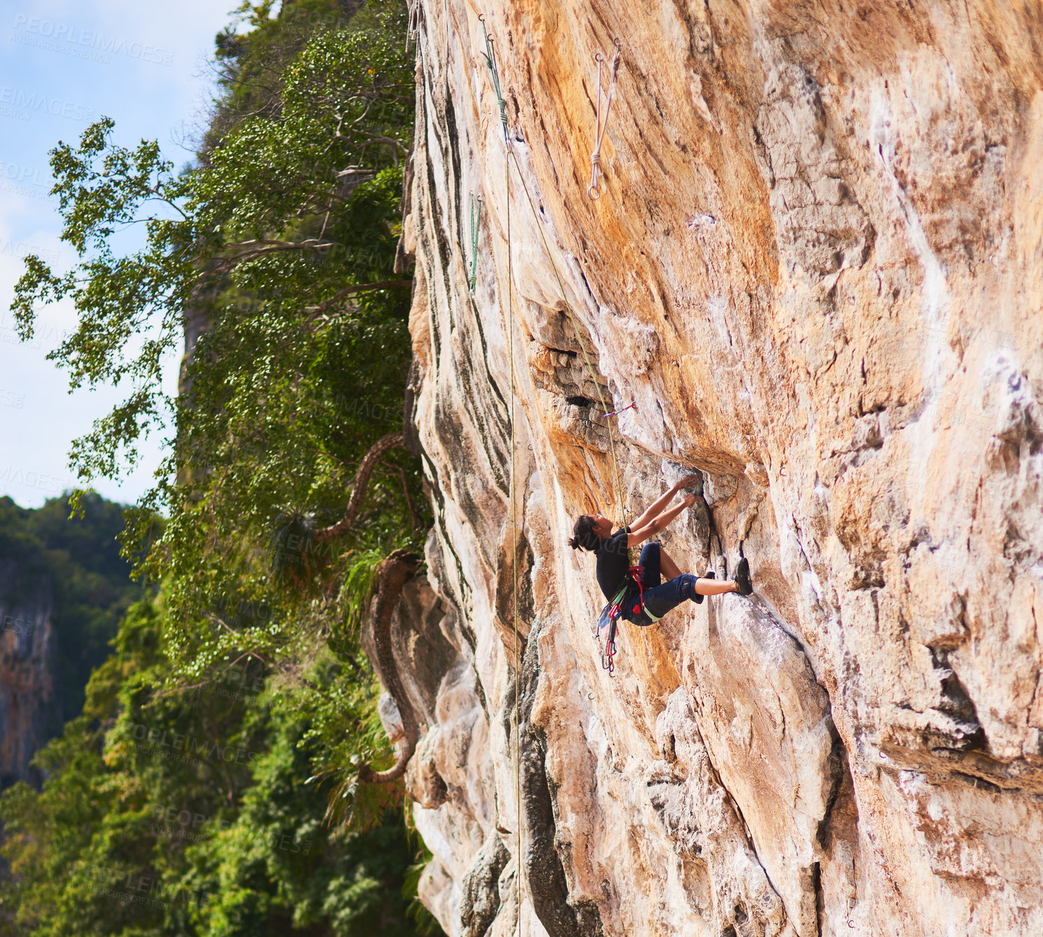 Buy stock photo Rock climbing, mountain and woman in nature for sport, trees and adventure on cliff. Rope, explore or safety with harness and equipment for female person, hobby and challenge on boulder outside