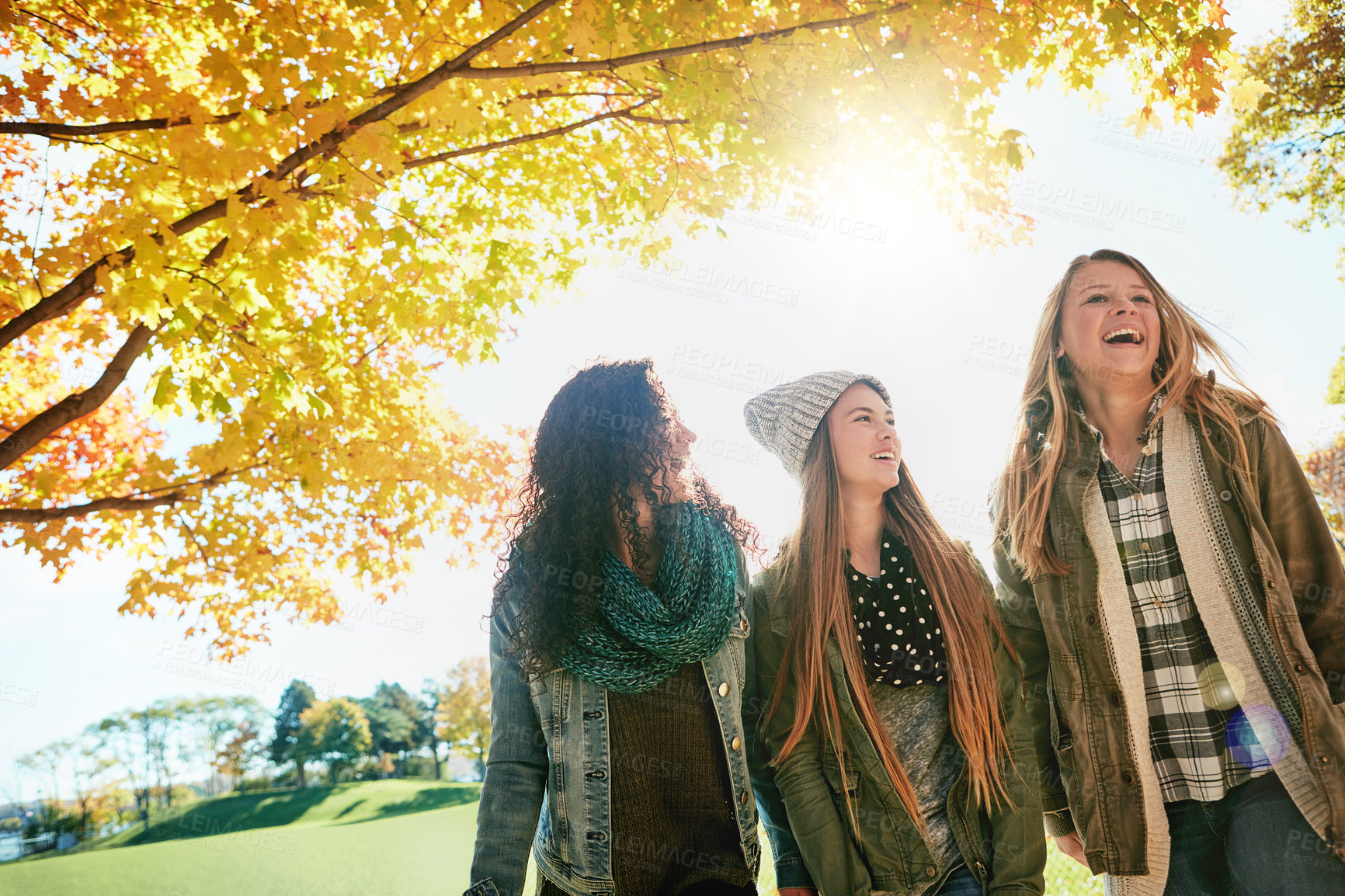 Buy stock photo Shot of a group of young friends enjoying a day at the park together