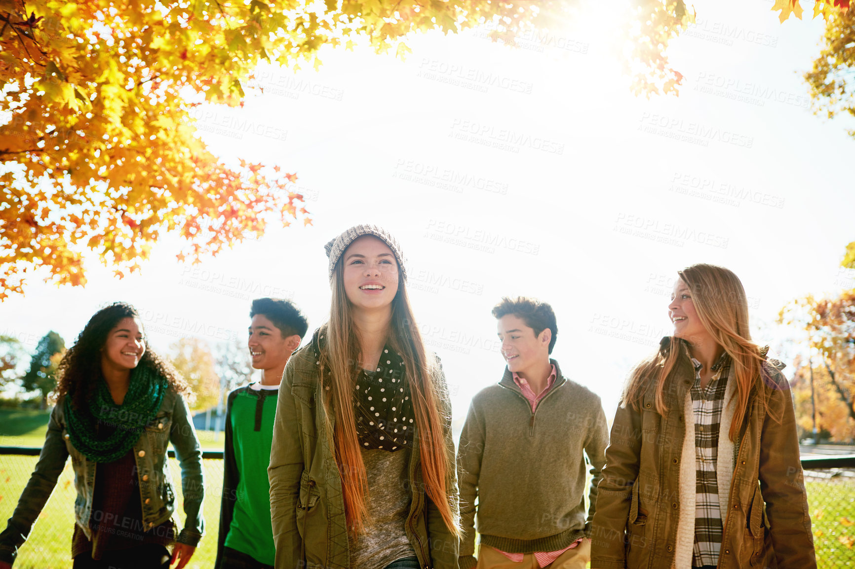 Buy stock photo Shot of a group of young friends enjoying a day at the park together