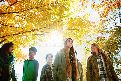 Buy stock photo Shot of a group of young friends enjoying a day at the park together