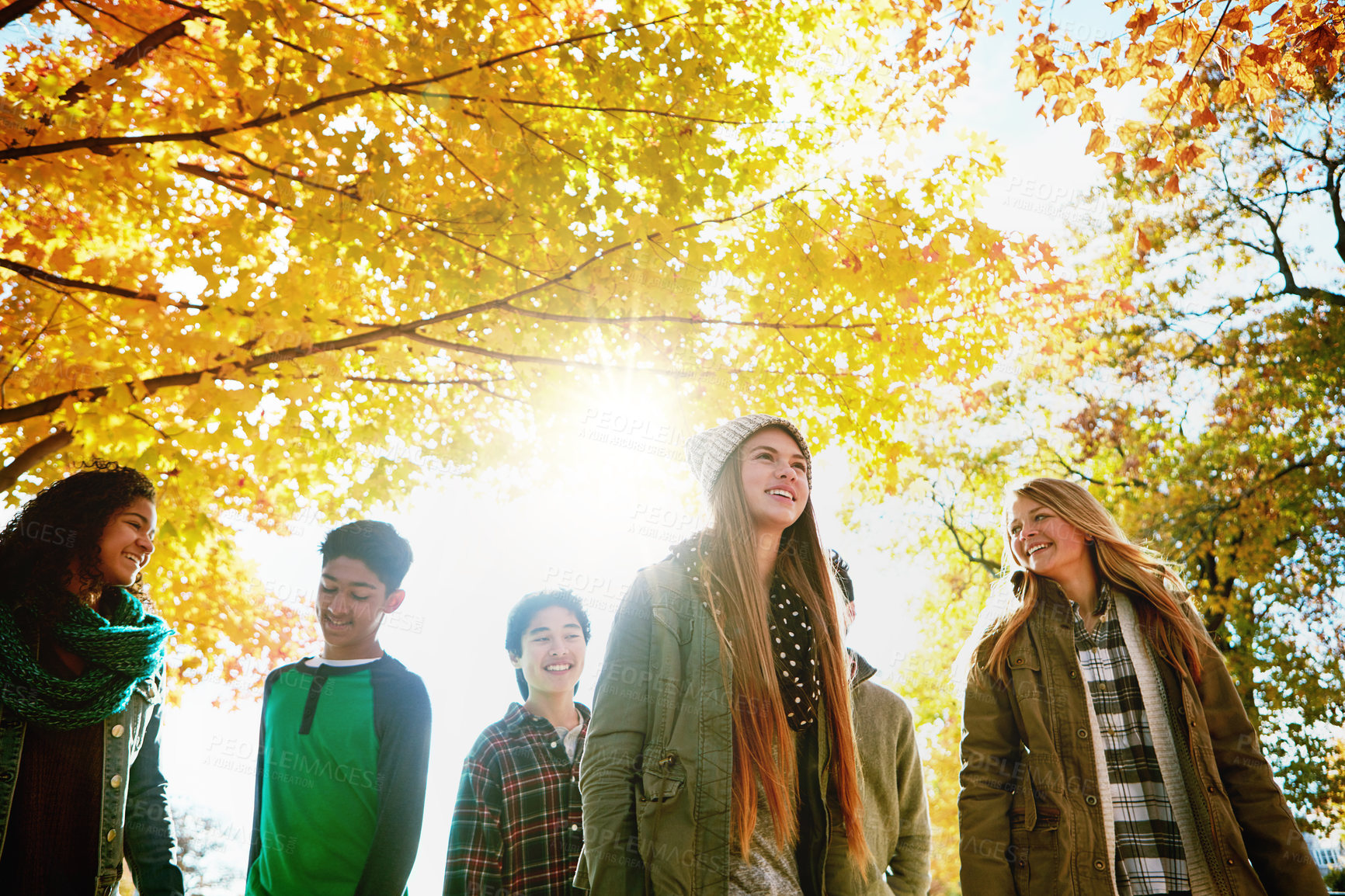 Buy stock photo Shot of a group of young friends enjoying a day at the park together