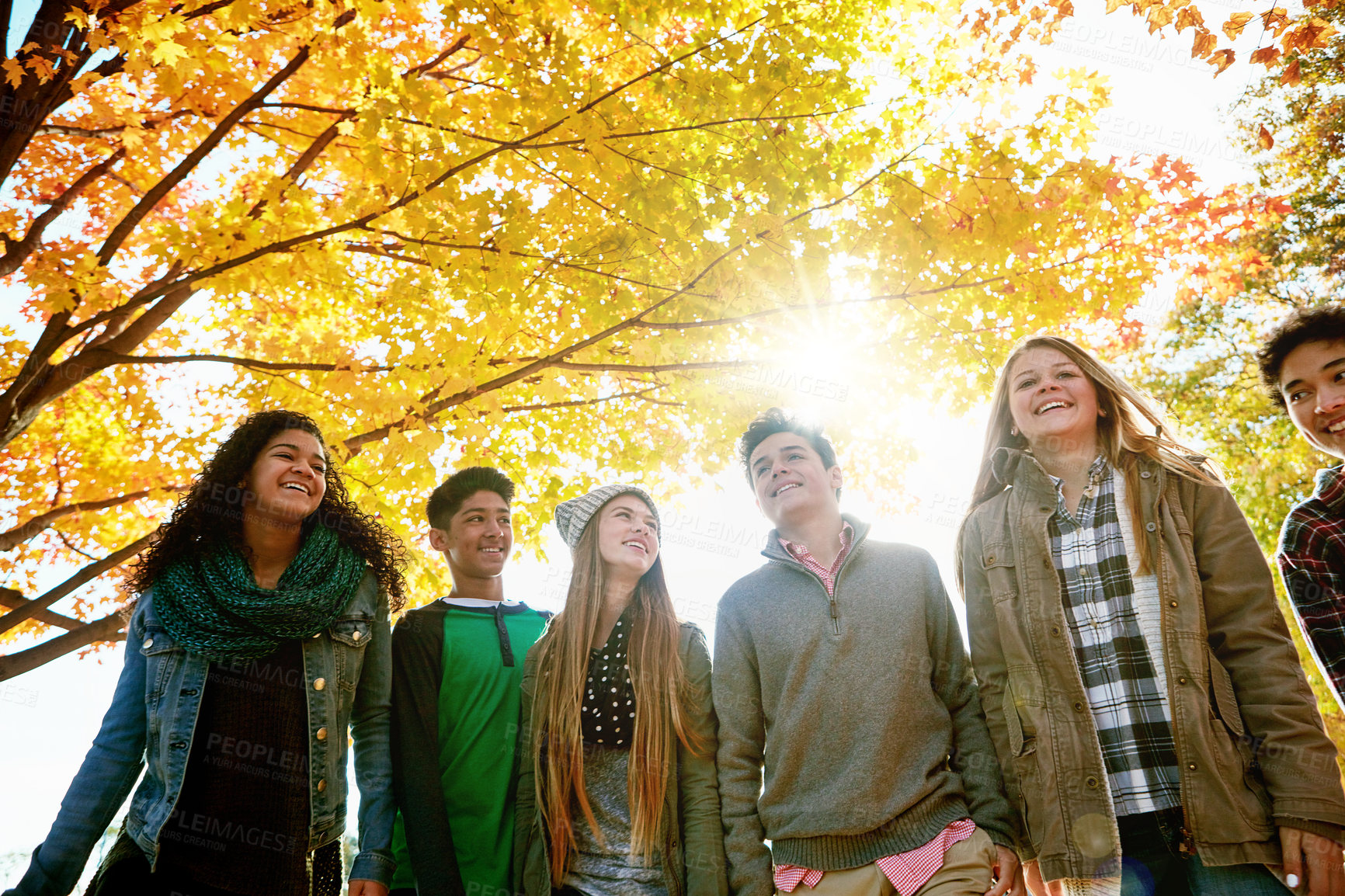 Buy stock photo Tree, smile and group of people in park for outdoor vacation, friendship or bonding together. Low angle, sky and friends with happiness in nature for support, bonding or break on weekend in Manhattan