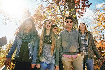 Buy stock photo Shot of a group of teenage friends enjoying an autumn day outside together