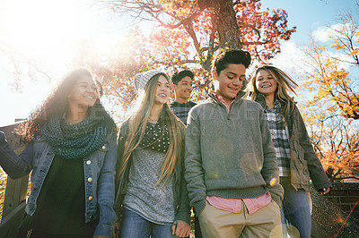 Buy stock photo Shot of a group of teenage friends enjoying an autumn day outside together