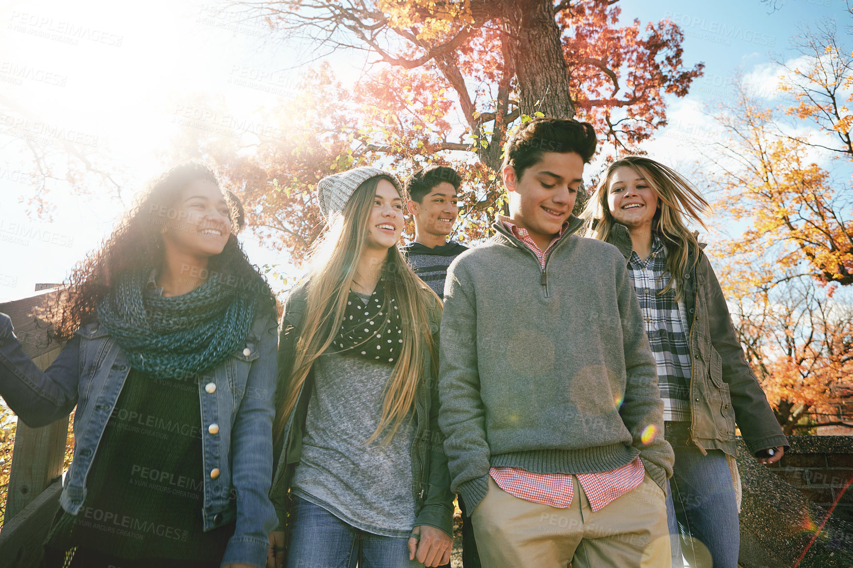 Buy stock photo Shot of a group of teenage friends enjoying an autumn day outside together