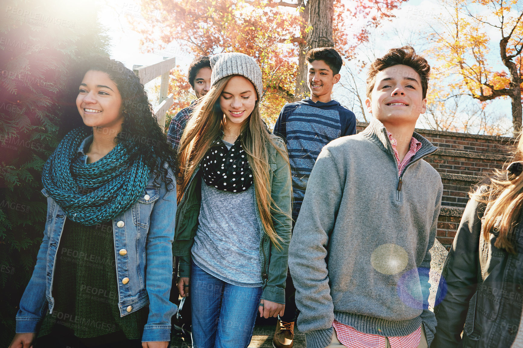 Buy stock photo Shot of a group of teenage friends enjoying an autumn day outside together