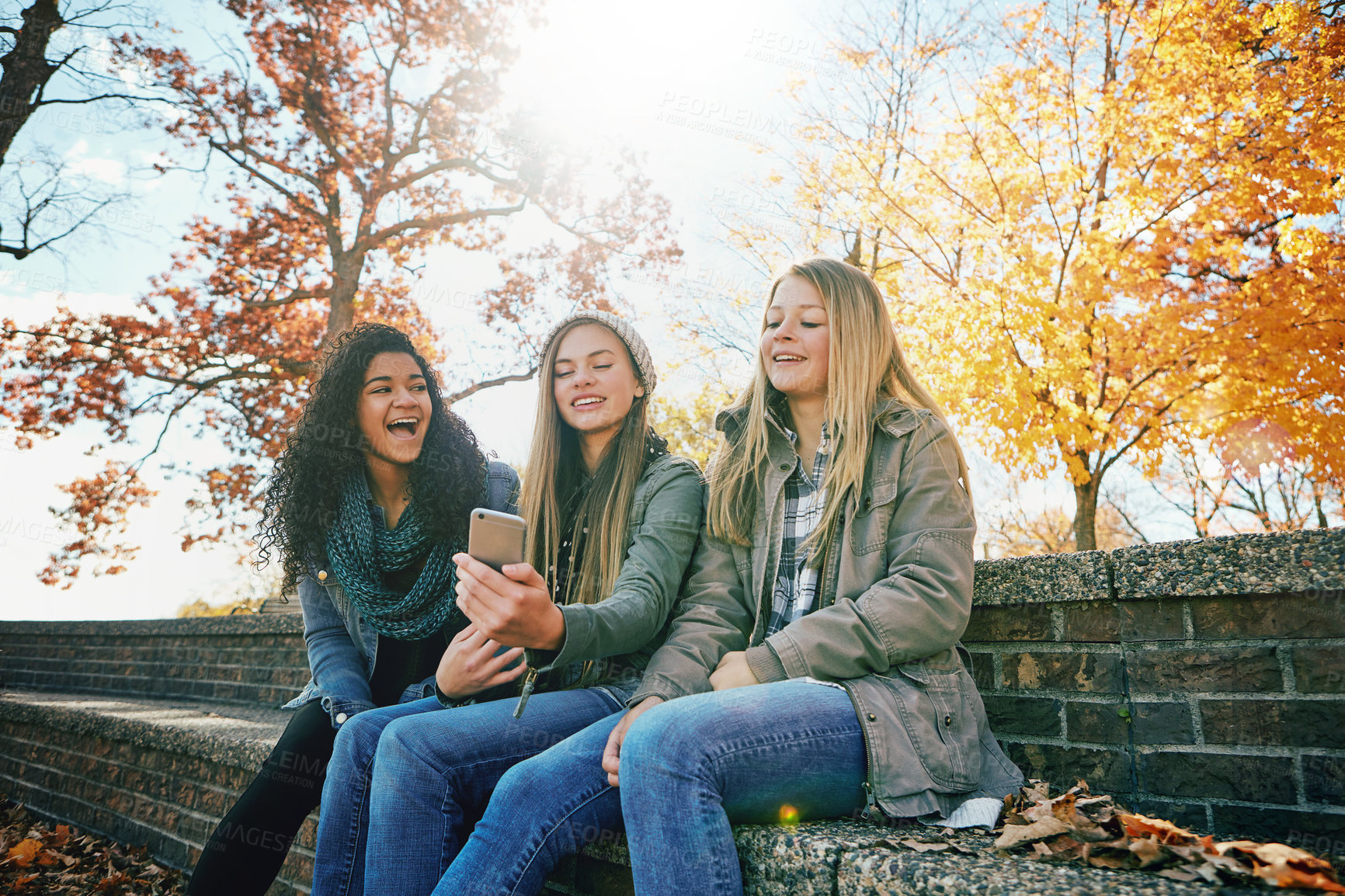 Buy stock photo Phone meme, funny or friends in park with smile together for holiday vacation outdoors on social media. Happy people, gossip or gen z girls in nature talking, speaking or laughing at a comedy joke