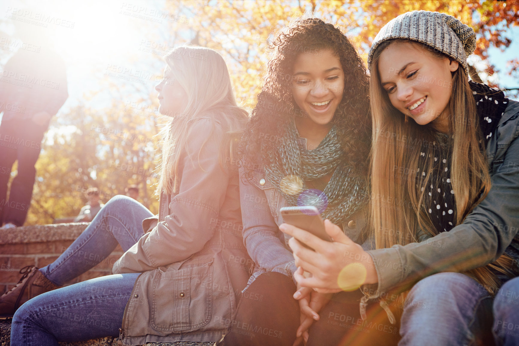 Buy stock photo Phone, students or girl friends in park with smile for holiday vacation on funny social media post together. Happy people, gossip or gen z girls in nature talking, speaking or laughing at comedy joke