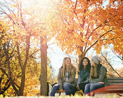 Buy stock photo Shot of a group of friends hanging out together outside on an autumn day