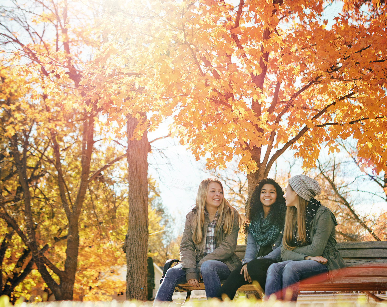 Buy stock photo Shot of a group of friends hanging out together outside on an autumn day