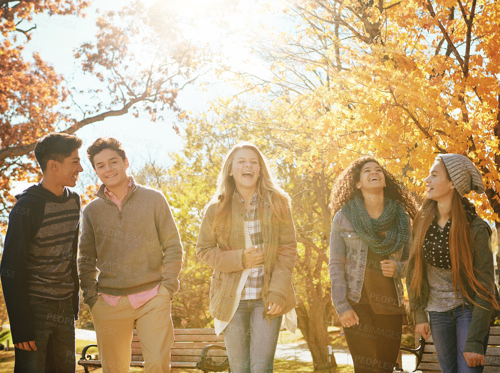 Buy stock photo Shot of a group of teenage friends enjoying an autumn day outside together