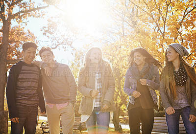 Buy stock photo Shot of a group of teenage friends enjoying an autumn day outside together