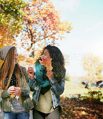 Buy stock photo Shot of a group of teenage friends enjoying an autumn day outside together