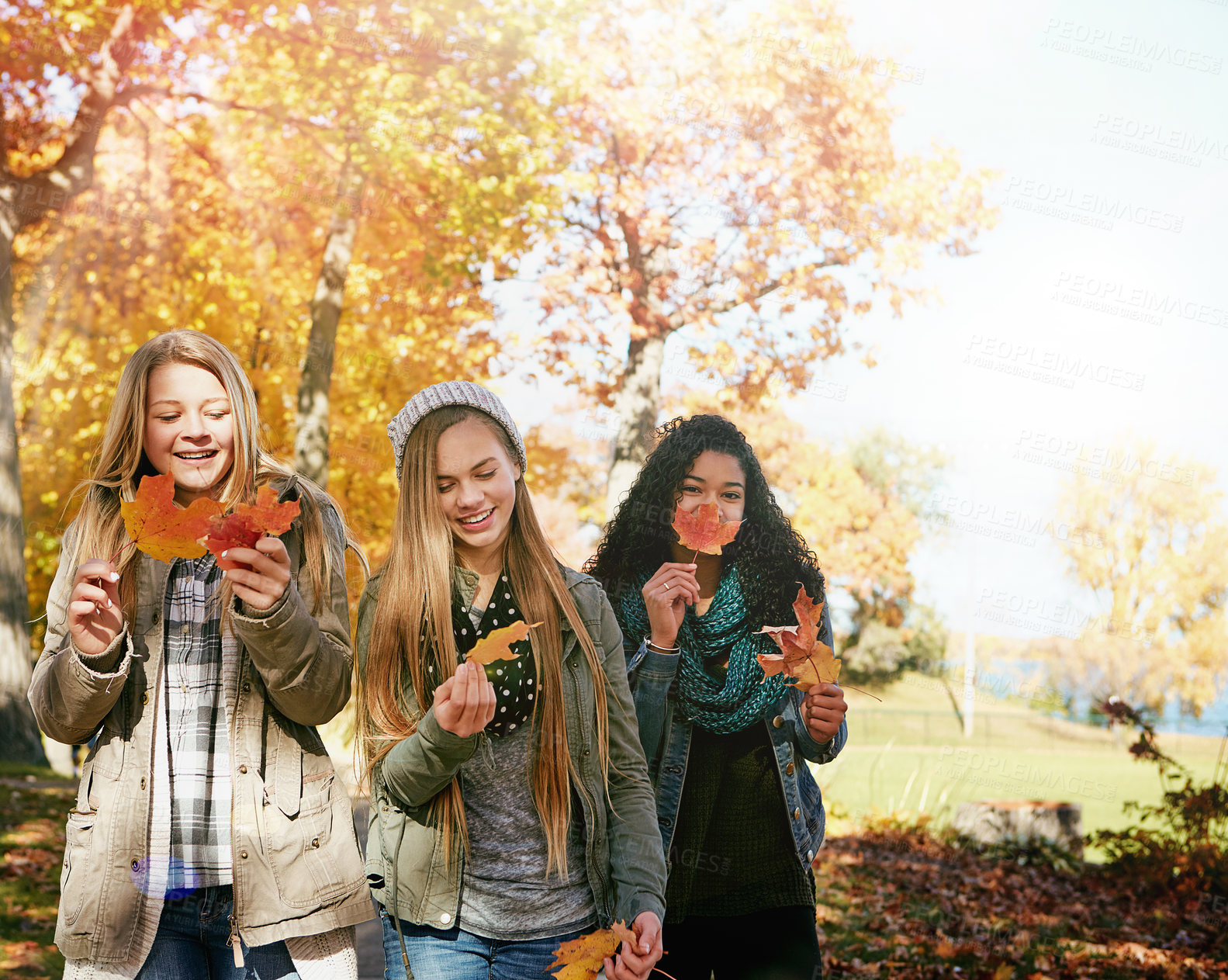 Buy stock photo Shot of a group of teenage friends enjoying an autumn day outside together