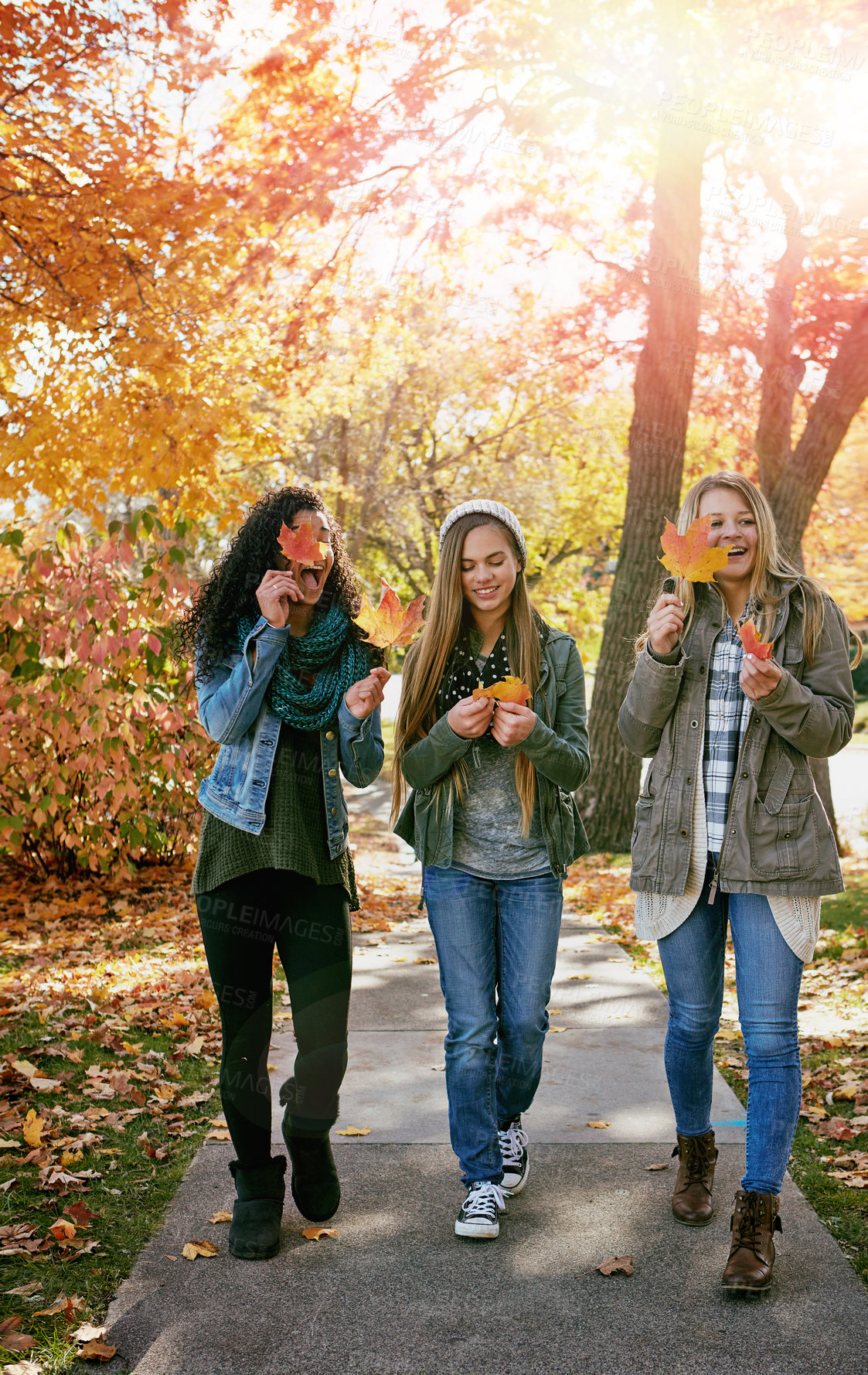 Buy stock photo Shot of a group of teenage friends enjoying an autumn day outside together