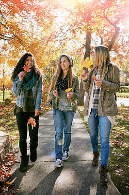 Buy stock photo Shot of a group of teenage friends enjoying an autumn day outside together