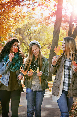 Buy stock photo Shot of a group of teenage friends enjoying an autumn day outside together