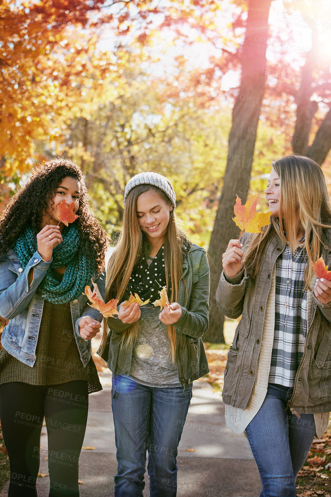 Buy stock photo Shot of a group of teenage friends enjoying an autumn day outside together