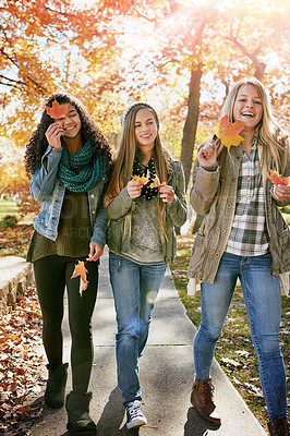 Buy stock photo Shot of a group of teenage friends enjoying an autumn day outside together