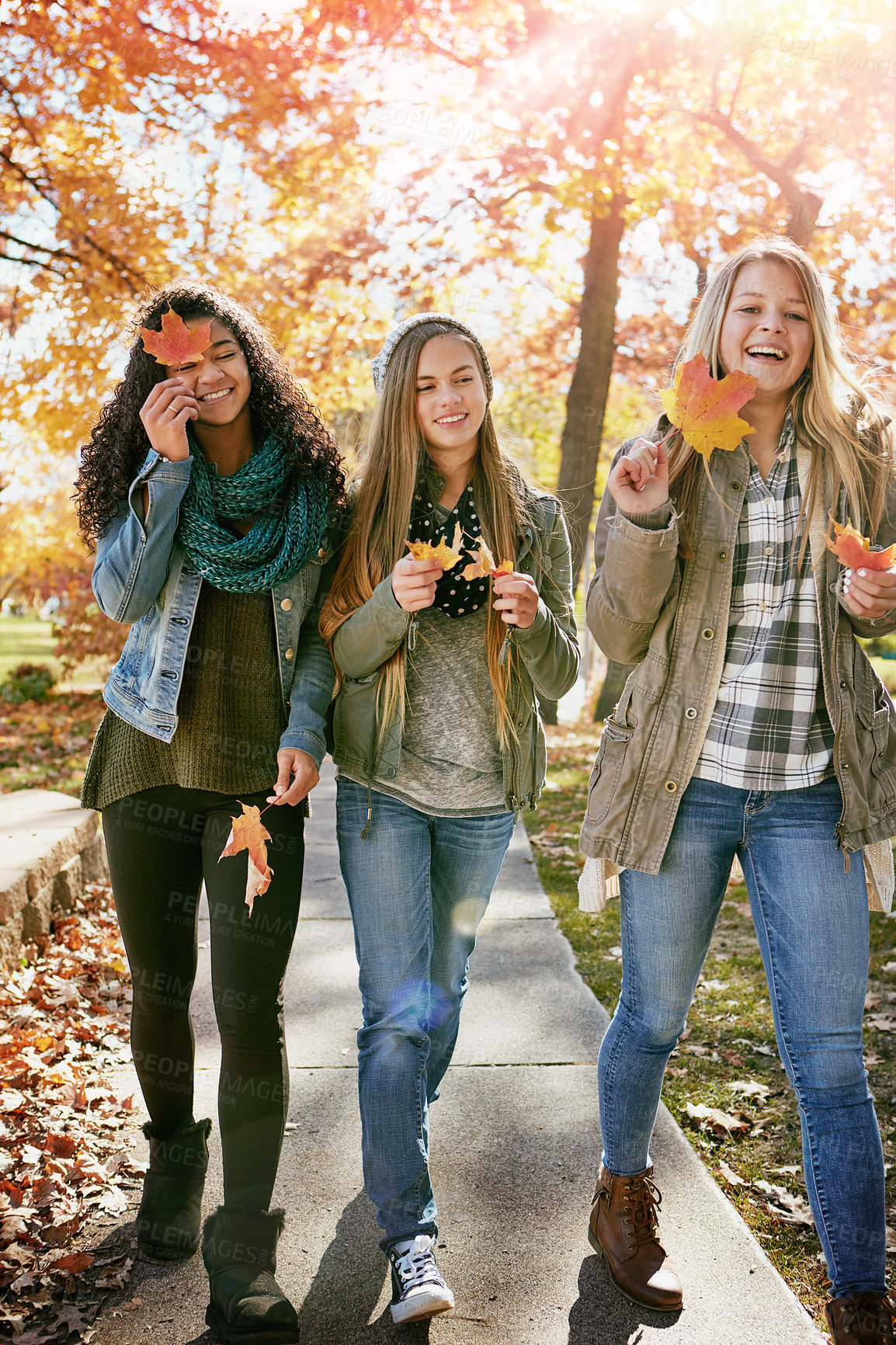 Buy stock photo Shot of a group of teenage friends enjoying an autumn day outside together