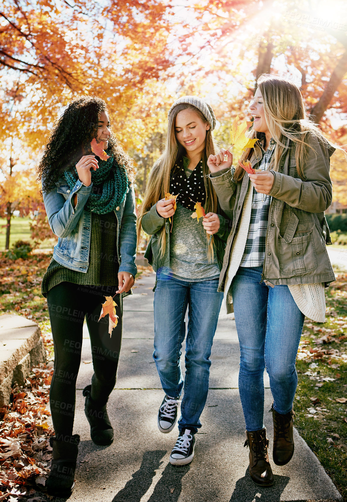 Buy stock photo Shot of a group of teenage friends enjoying an autumn day outside together