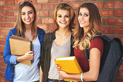 Buy stock photo Portrait of a group of smiling female university students standing together on campus