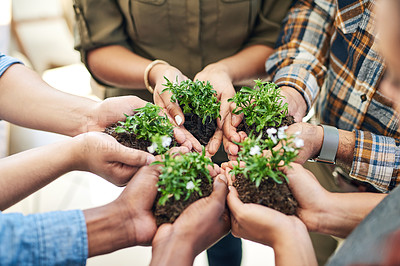 Buy stock photo Cropped shot of a team of colleagues holding a plant