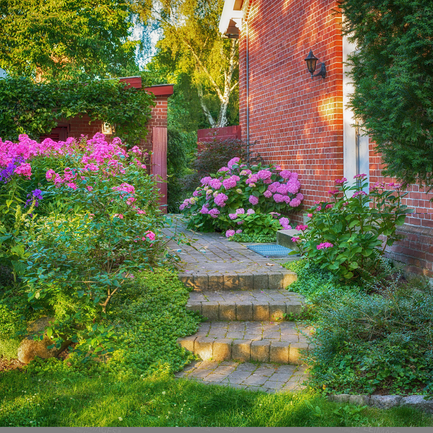 Buy stock photo View of an entrance with bushes and plants. Stone stairs in backyard surrounded by tropical plants and flowers. Stairs decorated with small plants and bushes and a lamp hanging on the garden wall. 