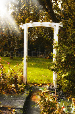 Buy stock photo Wooden arch in a garden on a sunny day. Sun flare on tall trellis for climbing plants beside a stone path in a park in summer. Backyard with trees and lush green lawn. Cultivated landscape background