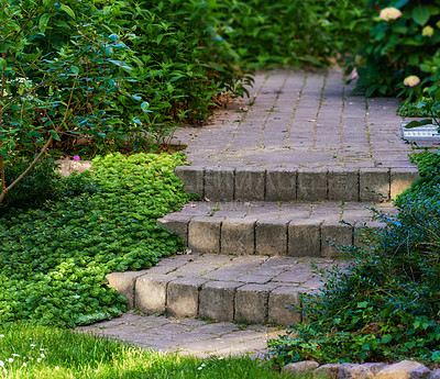 Buy stock photo  A brick stone-stepped entrance path in a beautiful park passes through green bushes. Close up of a step in a garden path paved in green backyard plants, garden walkway landscape with bush on sides.