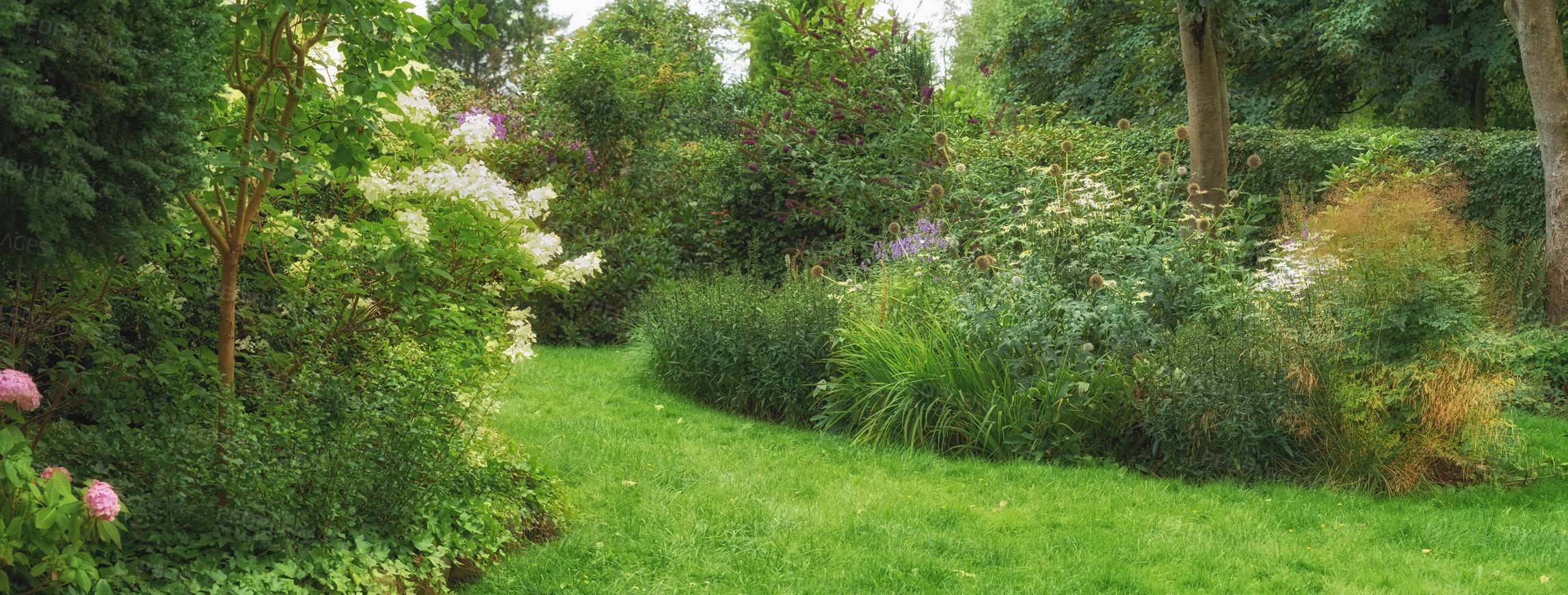 Buy stock photo Botanical garden with green grass, trees and different flowers blossoming in summer outdoors. Scenic landscaping in a lush park with copyspace. Calm peaceful view to enjoy on a fresh walk in nature. 