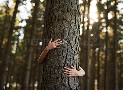 Buy stock photo Shot of an unidentifiable young woman hugging a tree in the forest