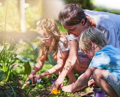 Buy stock photo Cropped shot of a mother gardening with her two little children outside