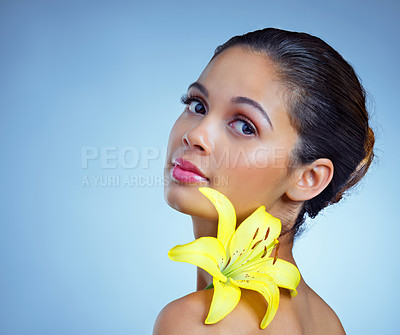 Buy stock photo Studio portrait of a beautiful young woman posing with a flower against a blue background