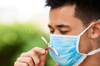 Buy stock photo Flower, face mask and allergy for man, spring and sinus for protection from illness. Safety, pollen or male person with hayfever or bacteria in nature, prevention or plant for hope and cure for virus