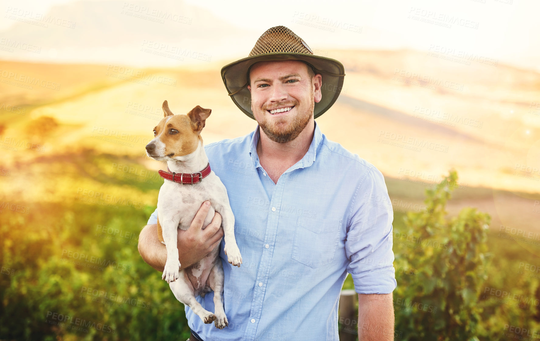 Buy stock photo Nature, smile and portrait of man with dog in field for bonding, training or connection. Happy, pet and farmer with jack russell puppy in sustainable, agriculture or agro environment in countryside.