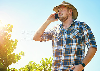 Buy stock photo Shot of a farmer talking on his phone while out in a vineyard