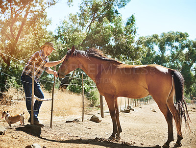 Buy stock photo Shot of a farmer standing with his horse