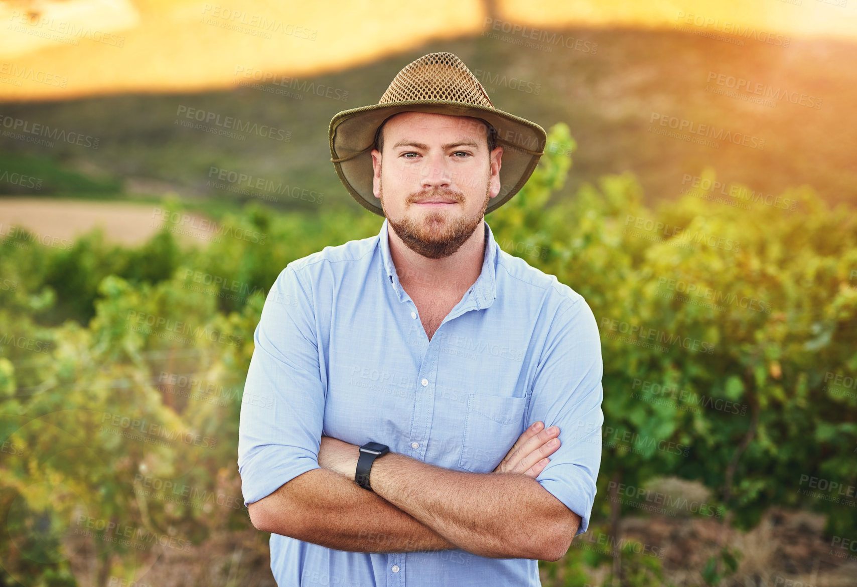 Buy stock photo Cropped shot of a middle-aged farmer posing on a vineyard