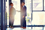 Mergers help to enhance the value of business
