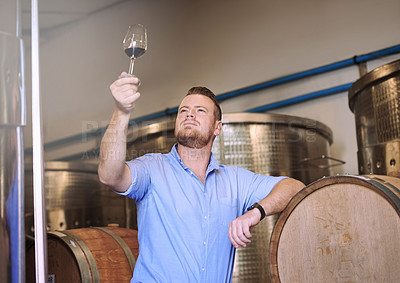 Buy stock photo Wine tasting, professional or man with glass in cellar for inspection of quality, experience or enjoyment. Expert, sommelier or person in winery with pride for alcohol manufacturing in small business