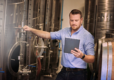 Buy stock photo Shot of a male sommelier using his digital tablet at work