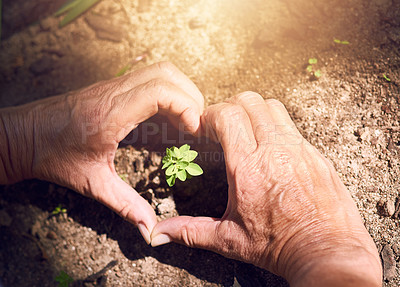 Buy stock photo Cropped shot of a woman making a heart shape around a plant sprouting from soil