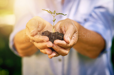 Buy stock photo Cropped shot of a woman holding a handful of soil with a plant growing from it