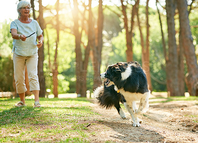 Buy stock photo Shot of a happy senior woman relaxing in a park with her dog