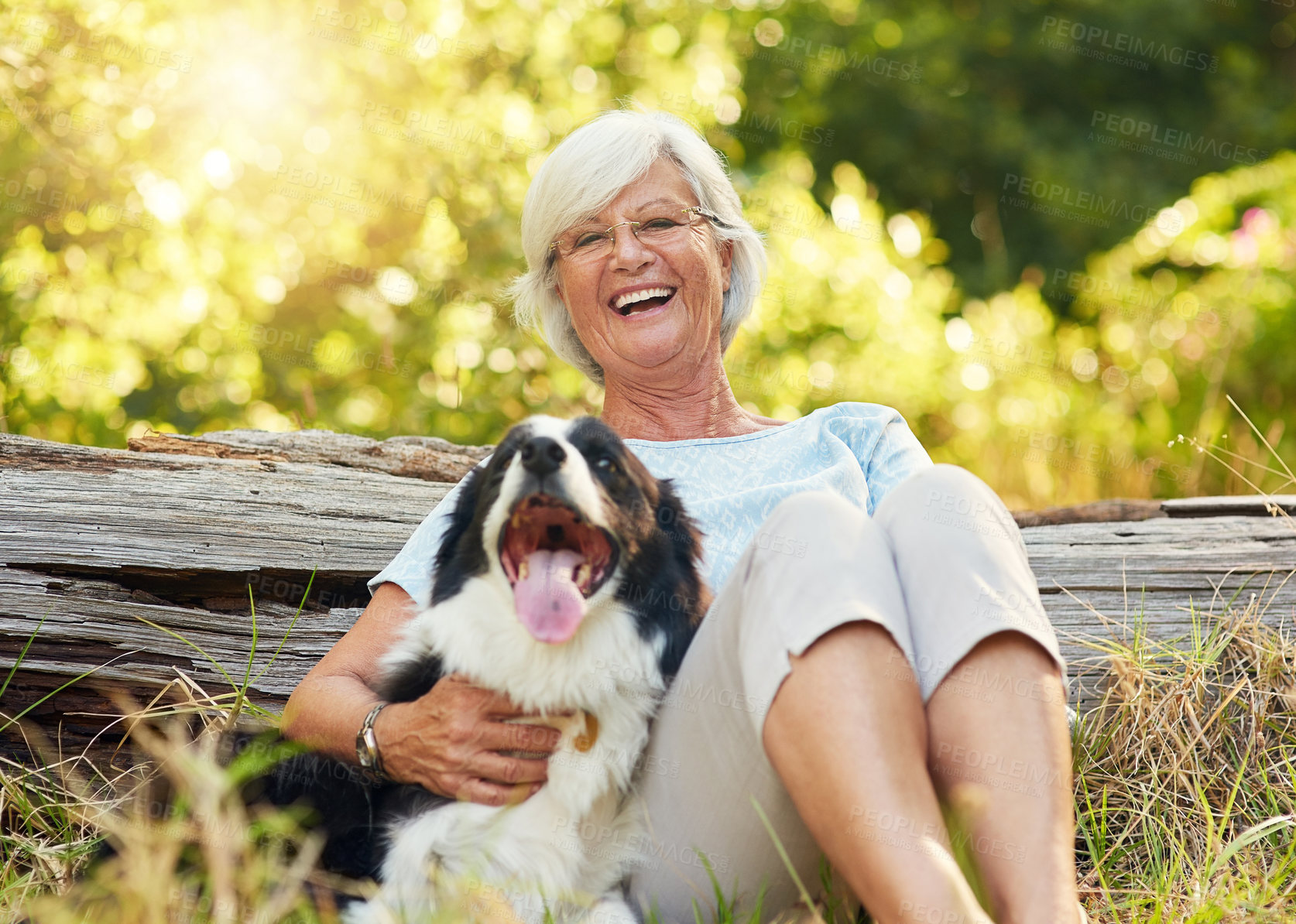 Buy stock photo Senior woman, portrait and dog in woods to relax with smile, care or adventure in summer sunshine. Elderly person, animal and border collie for hug in park, forest or happy with nature in countryside