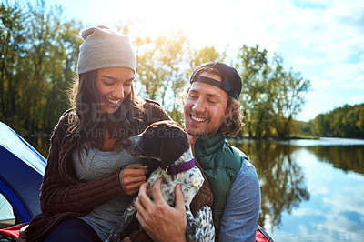 Buy stock photo Couple, dog and adventure with love of camping in nature forest, sunshine and bond, smile and support of animal holiday. Happy, woman and man with puppy pet for care, hug or relax in summer journey
